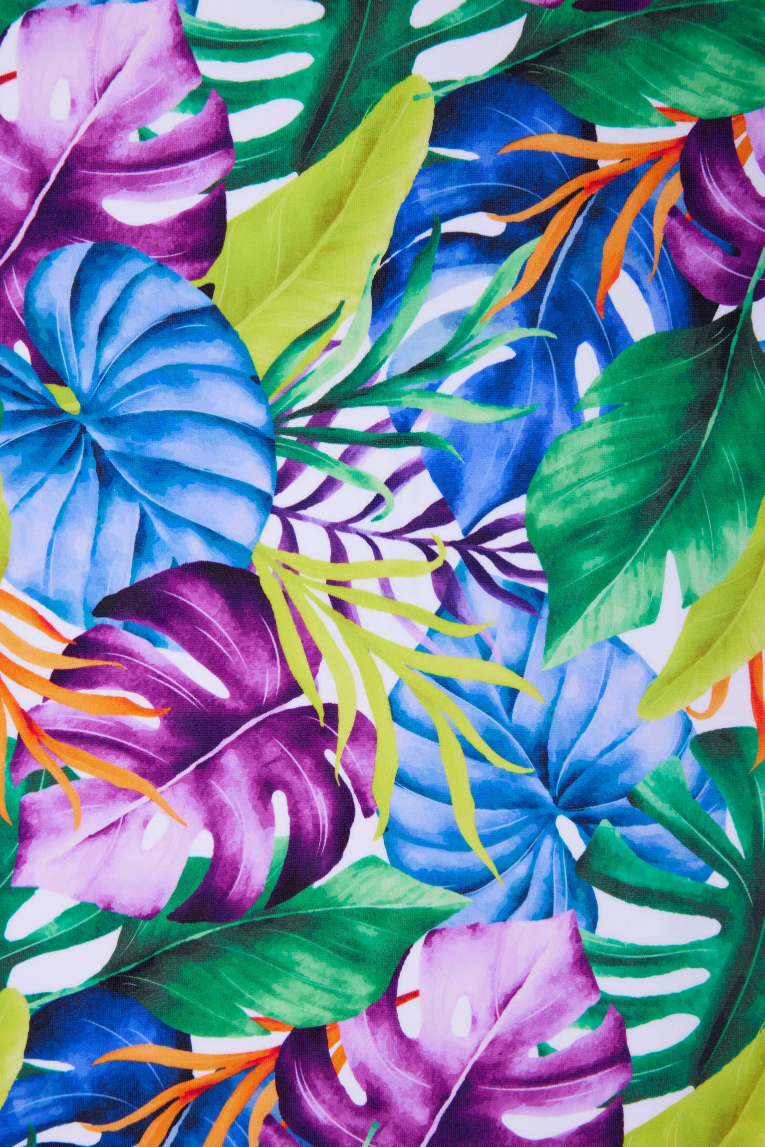 Bas de maillot de bain midi bleu imprimé tropical - Image 5