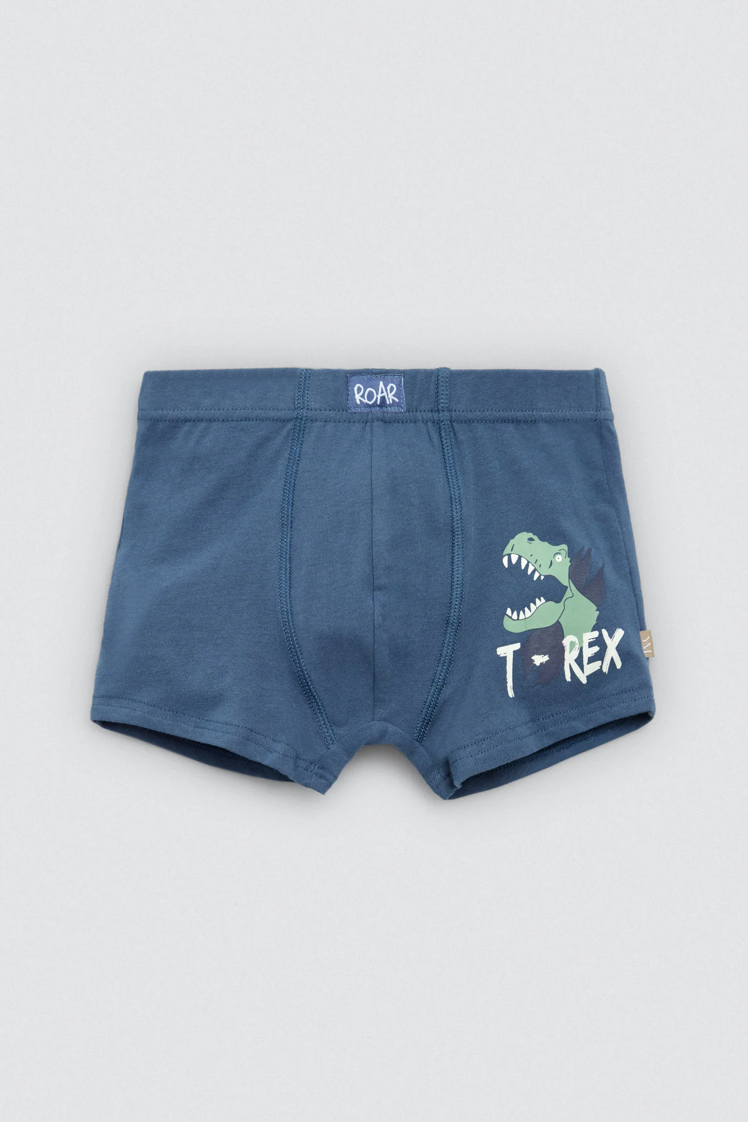 Lot de 2 boxers enfant en coton imprimé Roar - Image 4