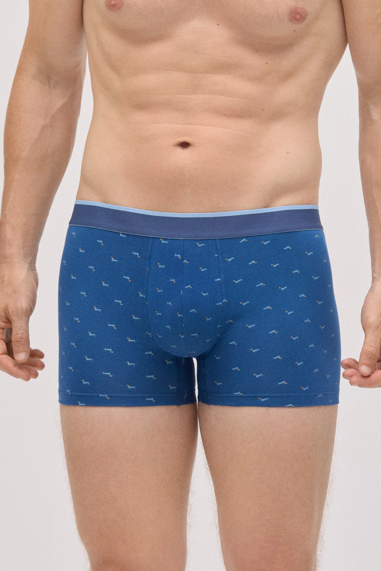 Pack boxer et chaussettes imprimé teckel - Image 4
