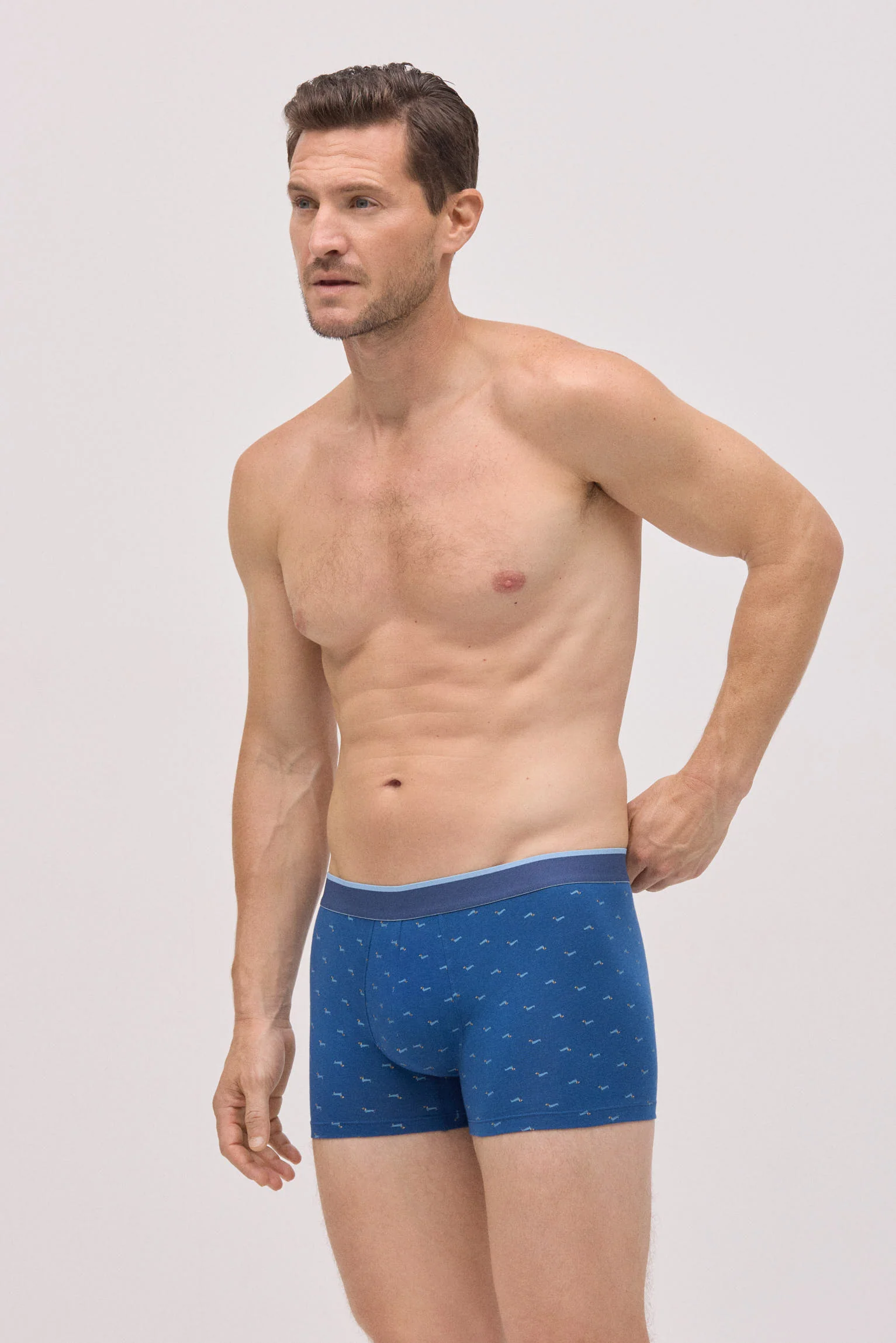 Pack boxer et chaussettes imprimé teckel - Image 6